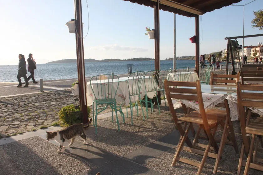 Foca Kumsal Hotel - Image 1
