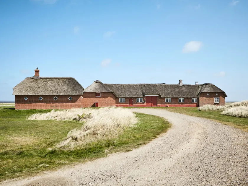 drivethru Bed & Breakfast Hvide Sande - Image 1