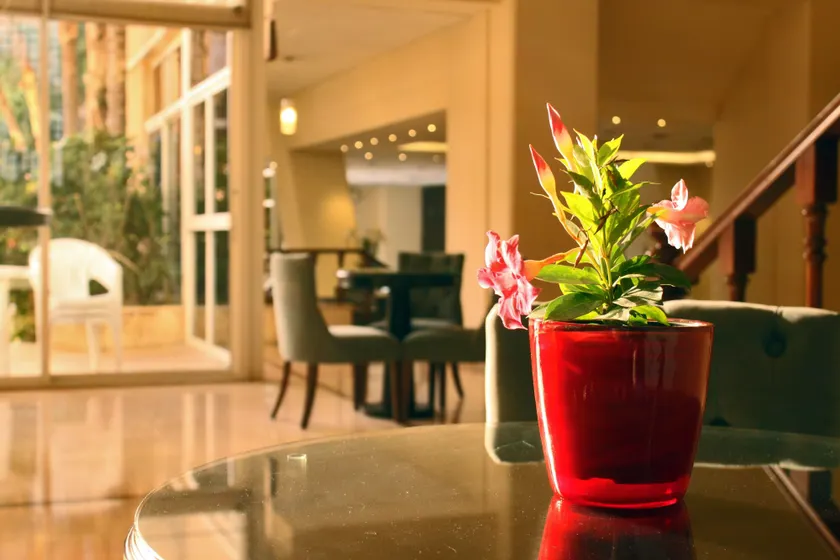 Cosmopolitan Hotel - Lobby