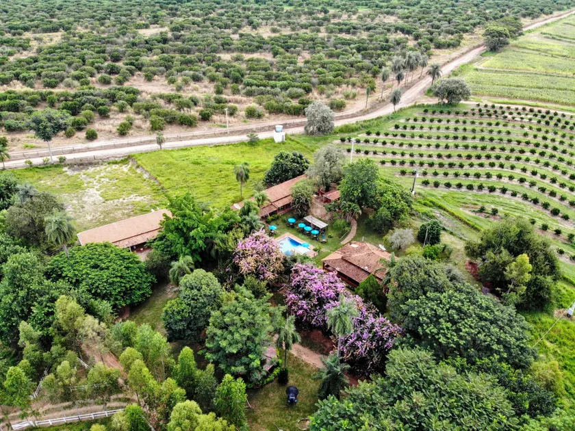 Fazenda Pousada das Palmeiras - Image 1