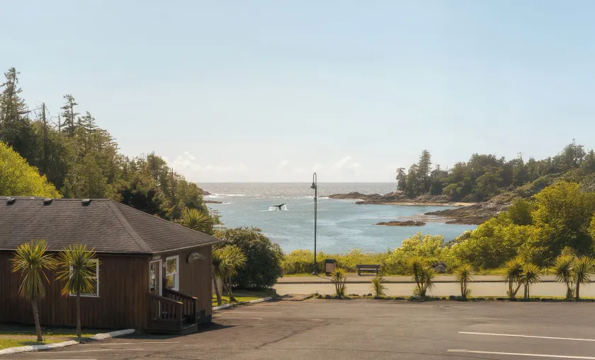 Little Beach Resort - Image 1