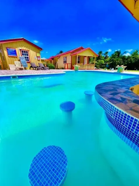 Tropical Paradise - Image 1