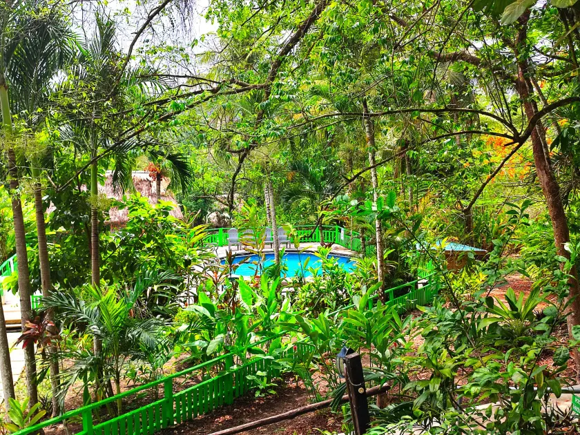 Maya Mountain Lodge - Image 1
