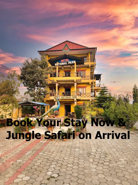 Hotel National Park Sauraha- Homely Stay and Peaceful Location with Jungle Safari arrangements - Image 1