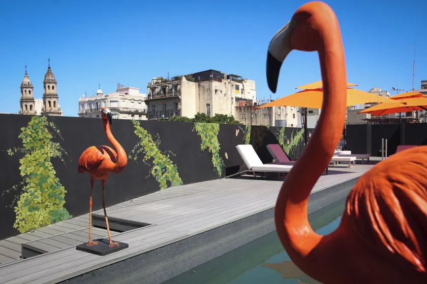 Anselmo Buenos Aires Curio Collection By Hilton - Image 1
