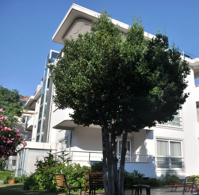 dragos island hotel - Image 1
