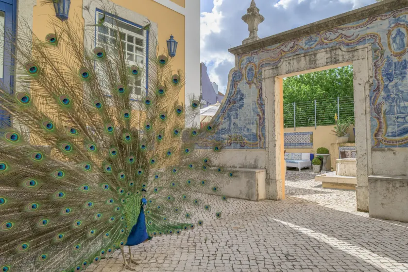 Solar do Castelo - Lisbon Heritage Collection - Alfama - Image 1