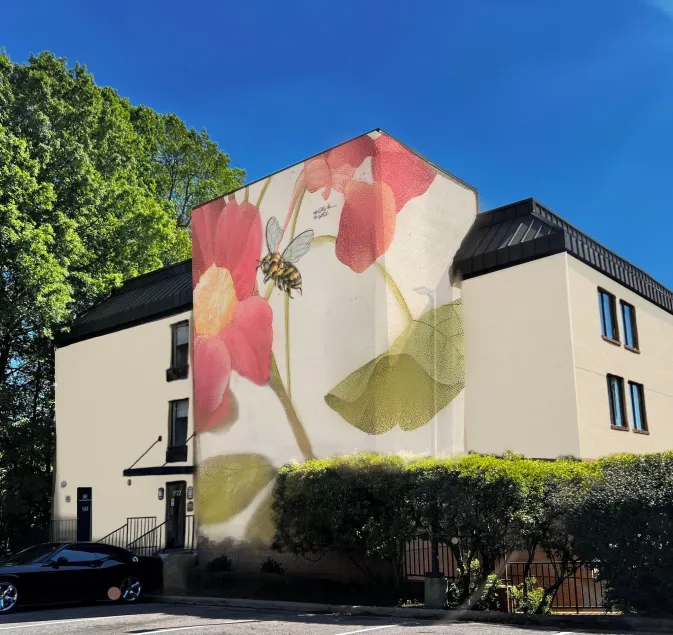 Hive House - Image 1