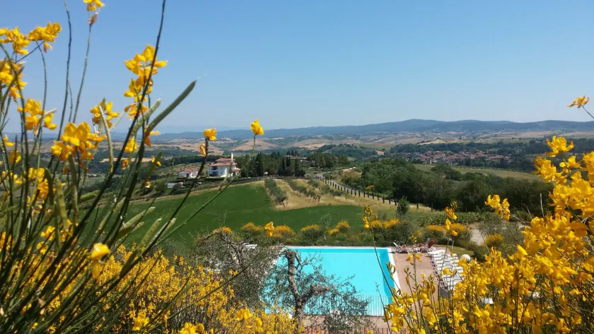 Holidays in Apartment With Swimming Pool - Image 1