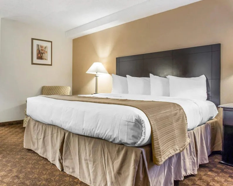 Quality Inn & Suites Coliseum - Image 1