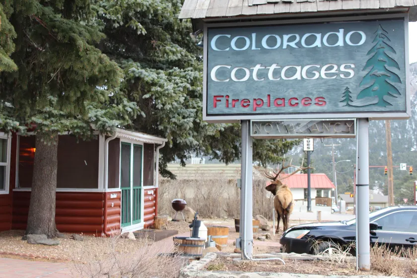 Colorado Cottages - Image 1