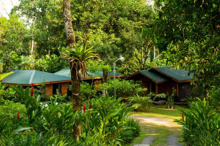 Eden Organic Farm & Bungalows - Image 1