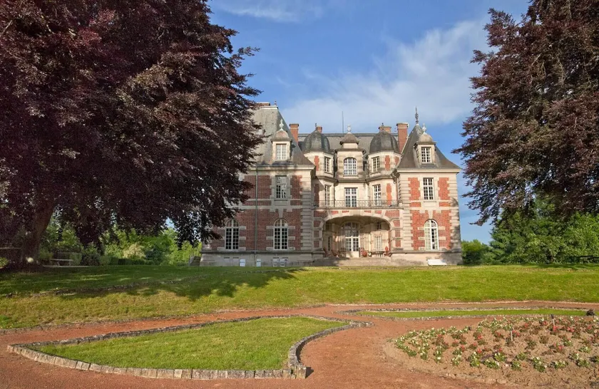 Château de Joyeux - Gîtes - Image 1