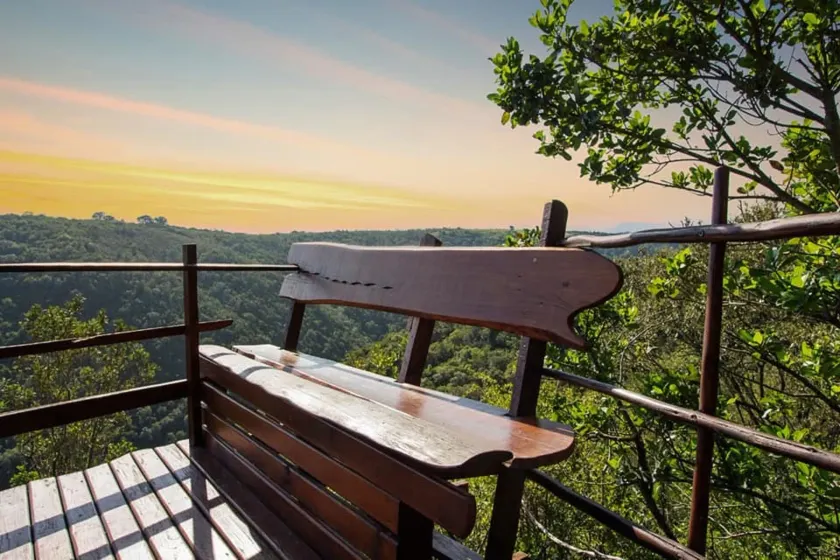 Teniqua Treetops - Image 1