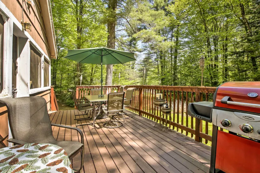 Pet-Friendly Cabin w/ Fire Pit, BBQ & Great Deck! - Image 1