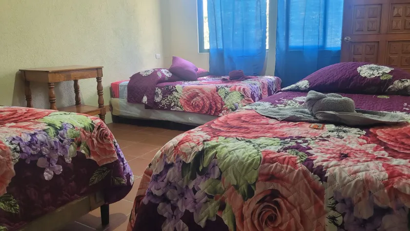 Hostal Sweet Dreams - Image 1