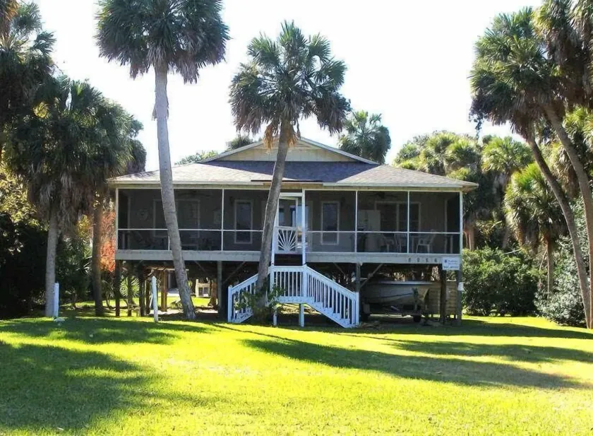Beach Nut - Image 1
