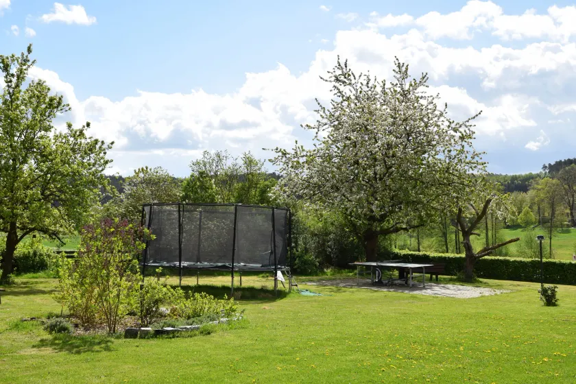 Landhotel Steigerwaldhaus - Image 1