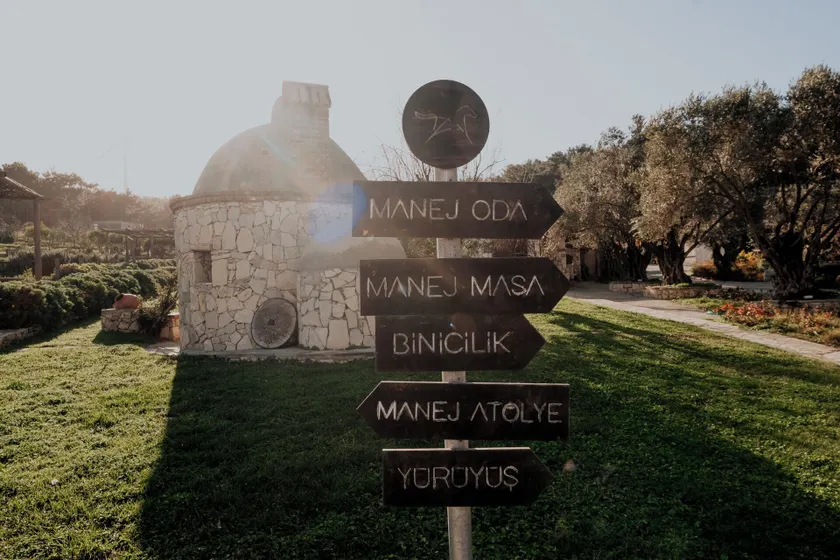 MANEJ URLA - Image 1