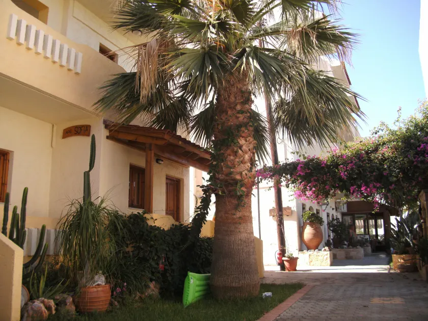 Lia Sofia Apartments - Image 1