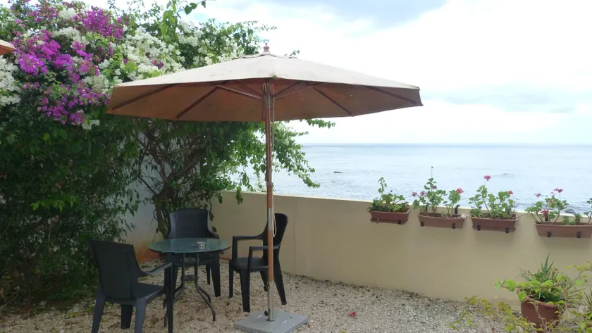 Le cactus guesthouse - Image 1