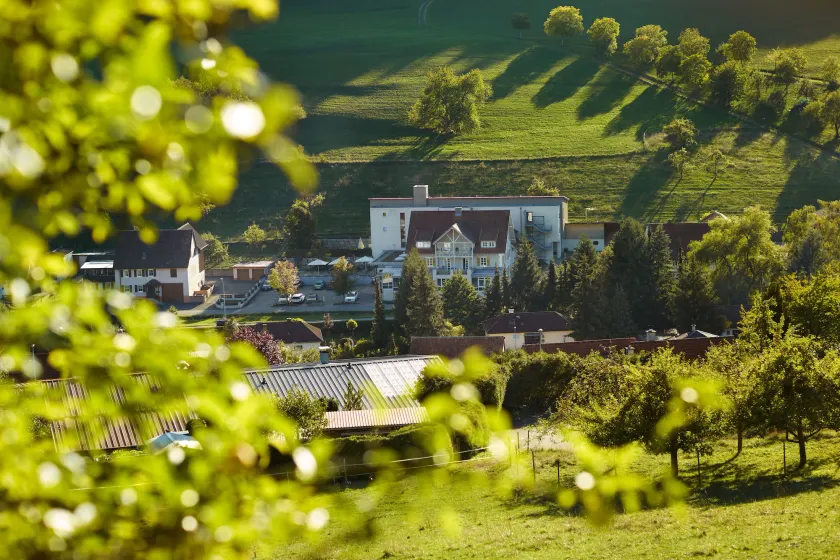 Landhotel Wilder Mann - Image 1