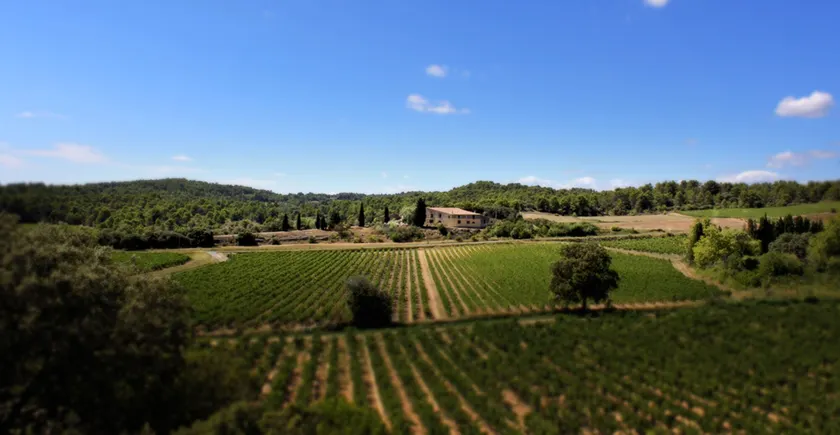 Domaine de Palats - Image 1
