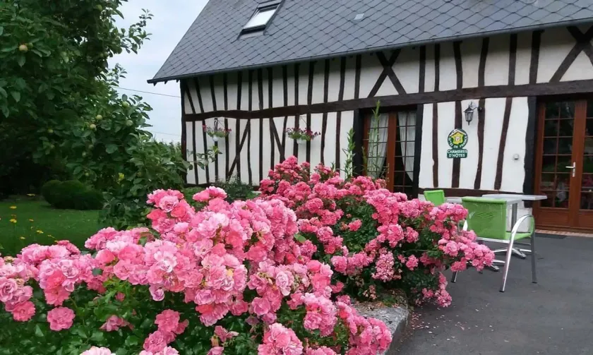 Chambre Du Panorama - Image 1