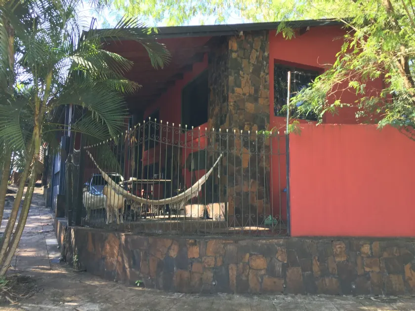 Selva mia - Image 1