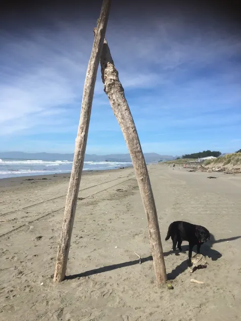 Sandy Feet Accommodation - Image 1