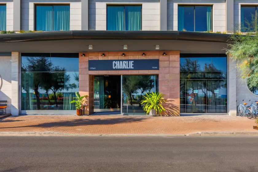 Charlie in Pesaro - Image 1