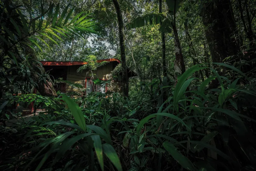 Jaguarundi Jungle Lodge - Monteverde - Image 1