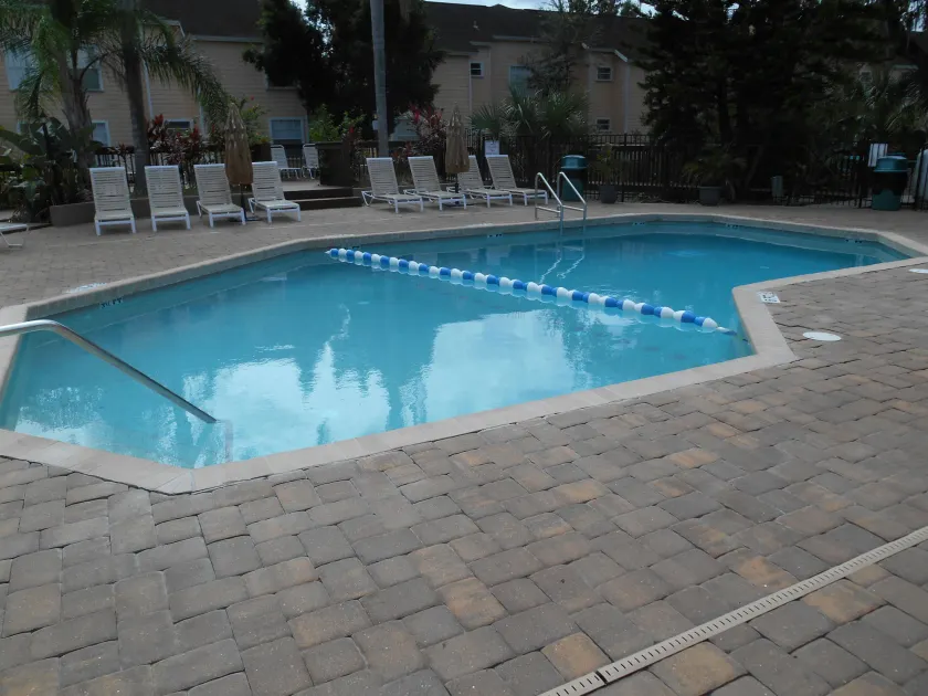 Poinciana Paradise - Image 1