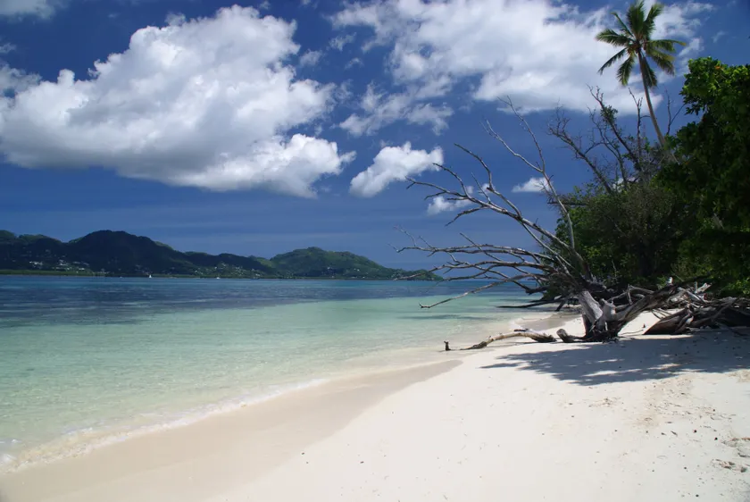 Fairy-Tern Chalets Cerf Island - Image 1