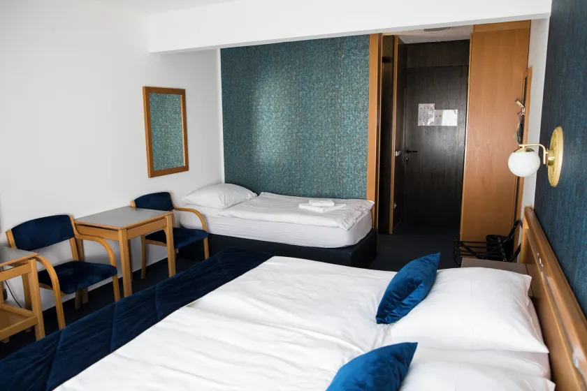 Hotel Alp - Image 1