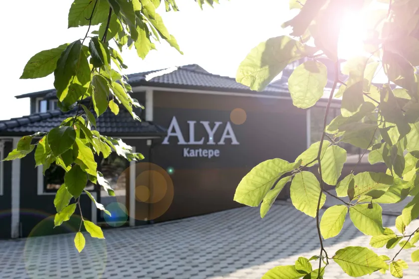Alya Kartepe Villa Hotel - Image 1