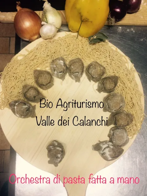 Bio Agriturismo Valle dei Calanchi - Image 1