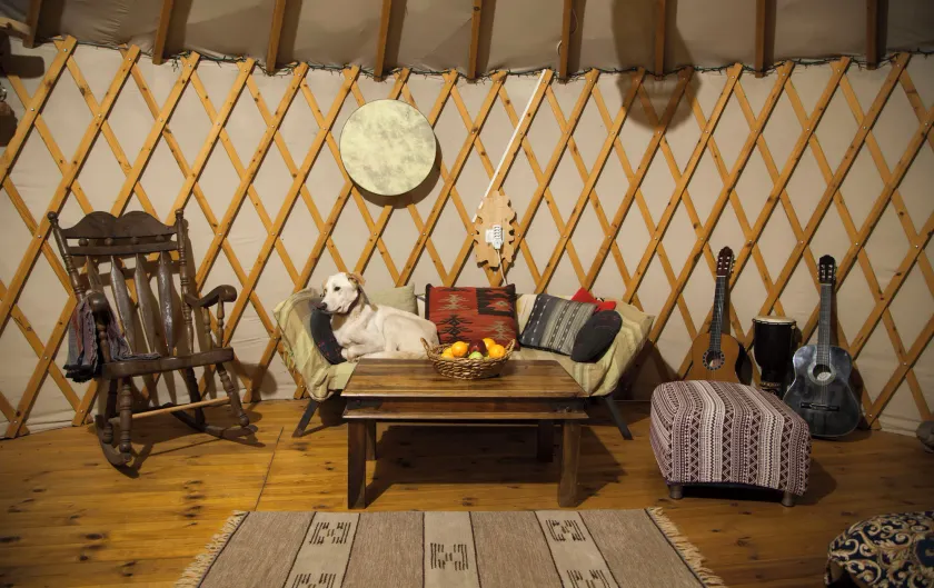Yurt Located in a Little oak Grove - Image 1