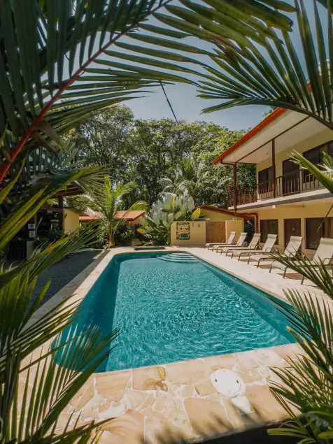 Tropical Beach - Image 1