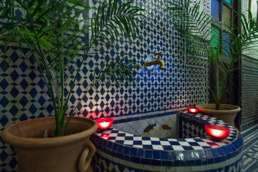 Riad Taha - Image 1