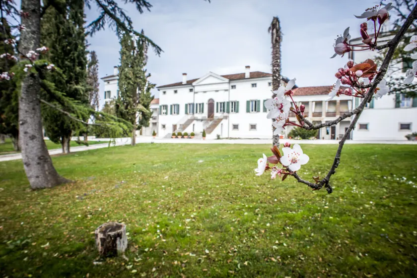 Villa Dragoni - Image 1