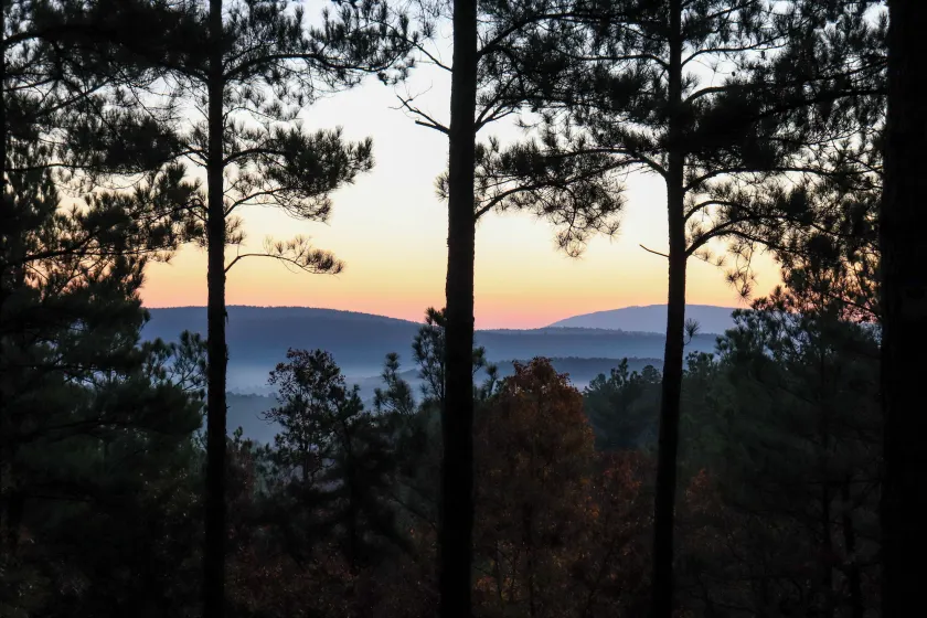 Hike the Ouachitas! Remote Mtn Hideaway w/ Trails - Image 1