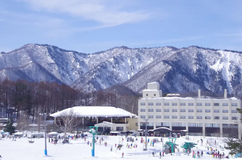 Okutone Onsen Hotel Sunbird - Image 1