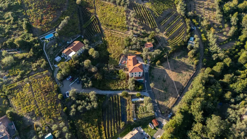 Agriturismo La Collina Verde - Image 1