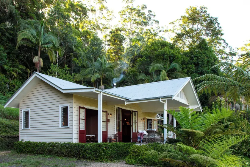Nightcap Ridge - Byron Bay Hinterland - Image 1