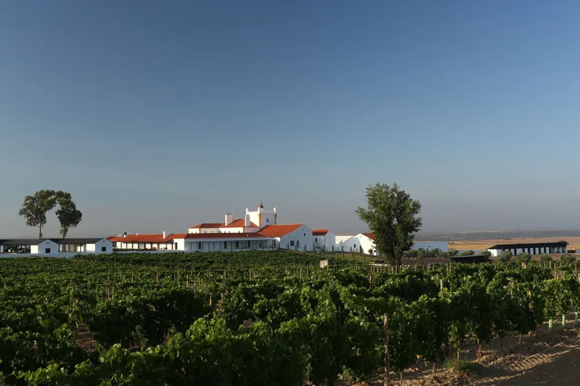 Torre de Palma Wine Hotel, Monforte, a Member of Design Hotels - Image 1