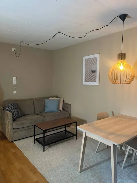Two rooms apartment at Rgsved - Image 1