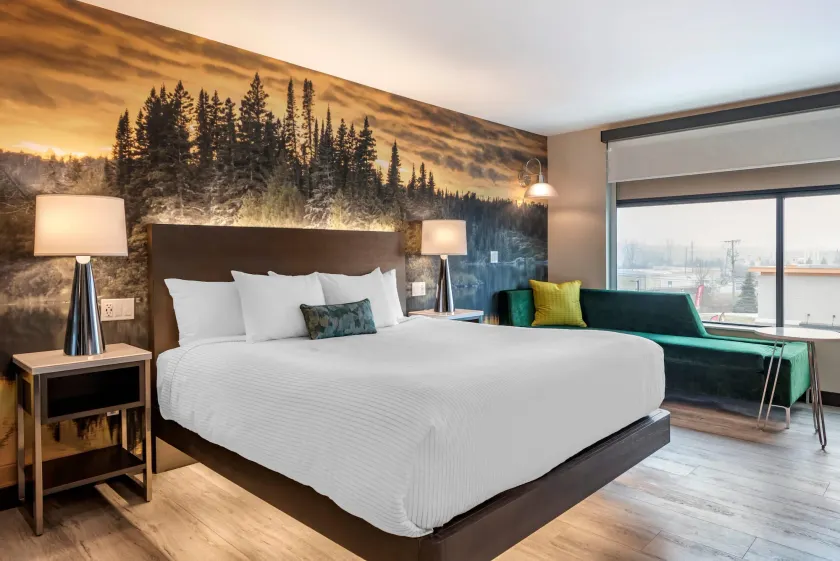 Cambria Hotel Shelby Township - Detroit Utica - Image 1