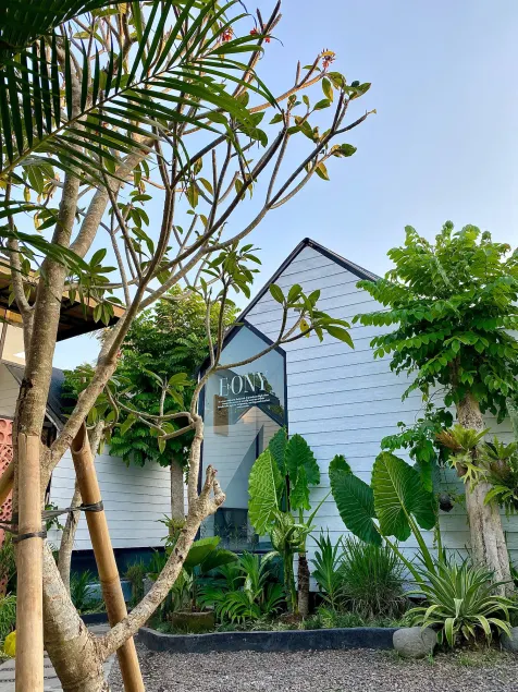 The Jungle Hostel Canggu - Image 1