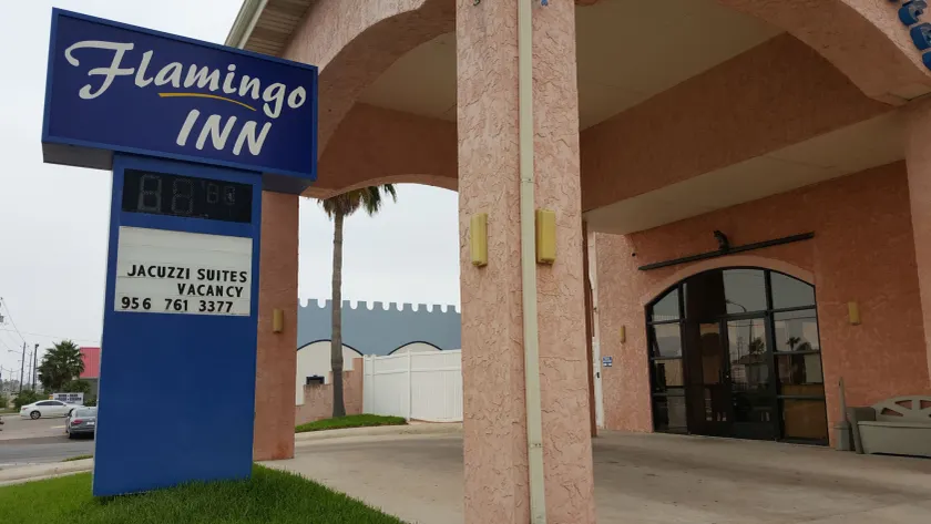 The Flamingo - South Padre Island - Image 1